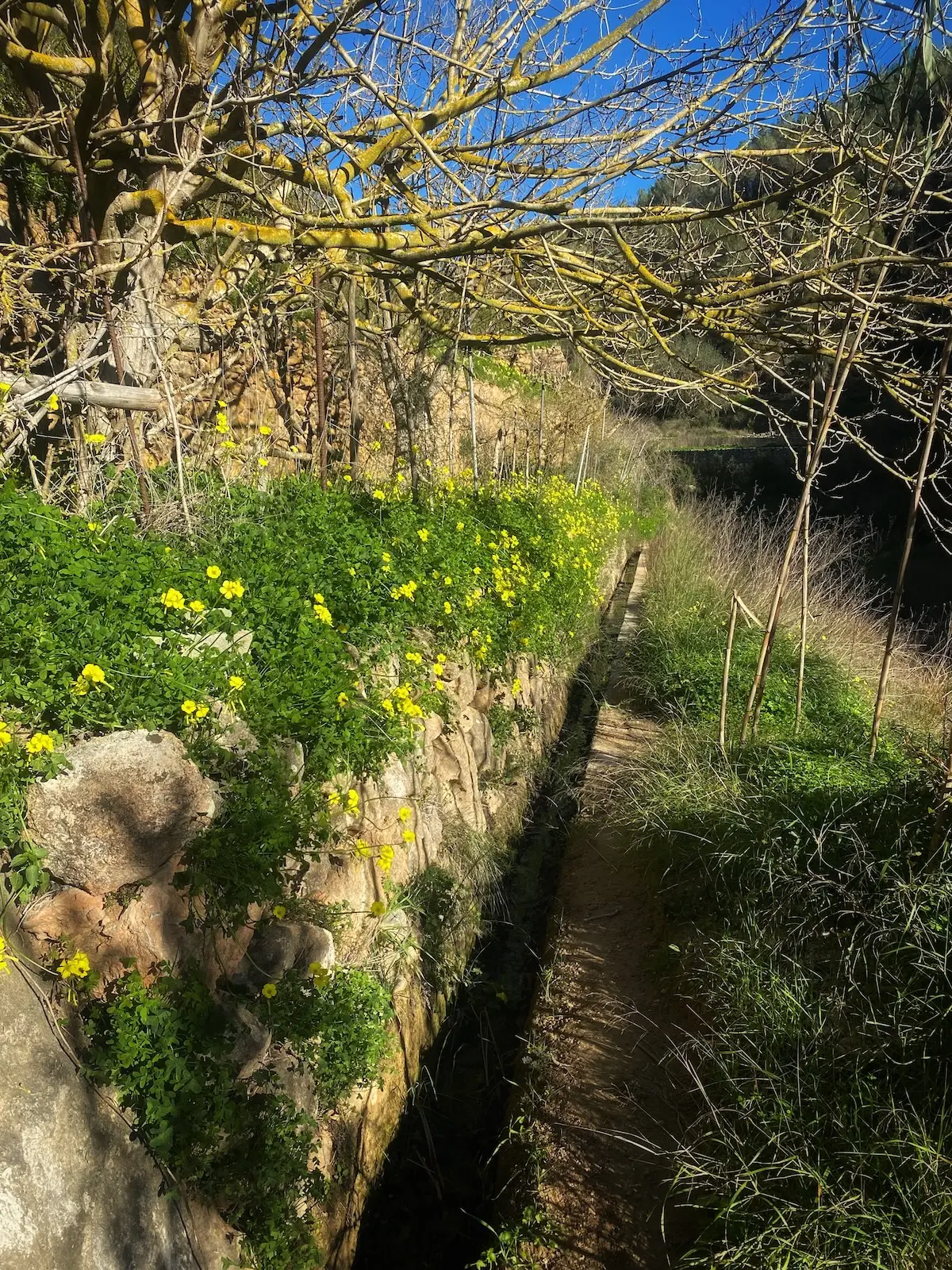 ancient irrigation system of es Broll